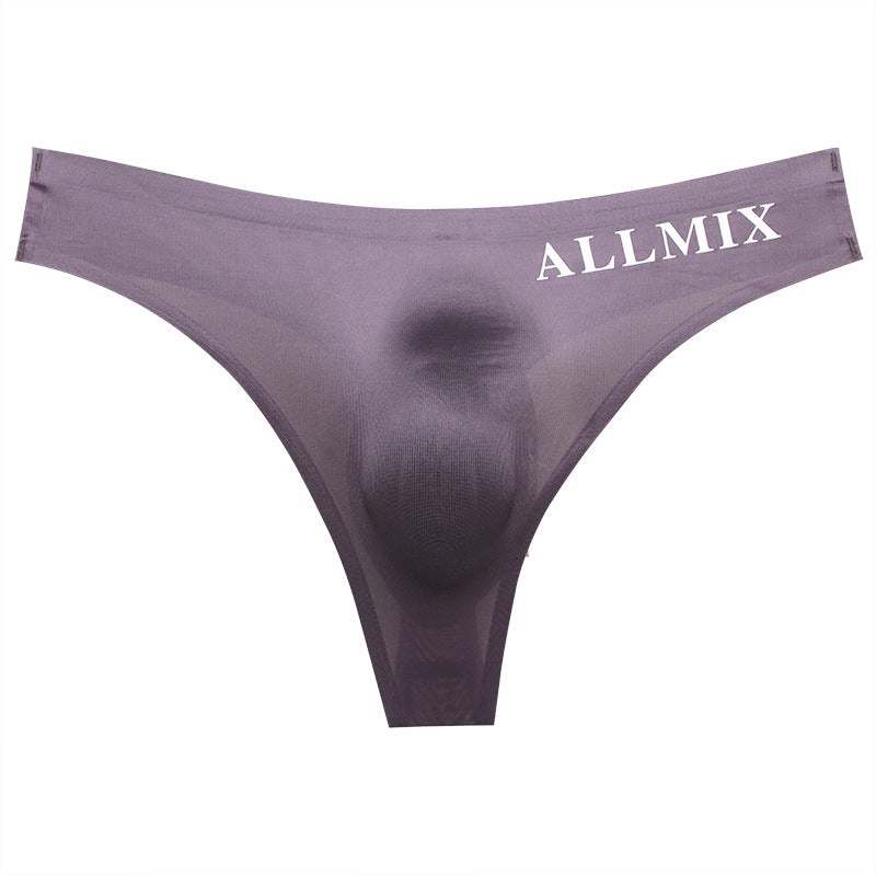【🔥Hot Sale】Sexy Low Waist Transparent Ice Silk Seamless Thong