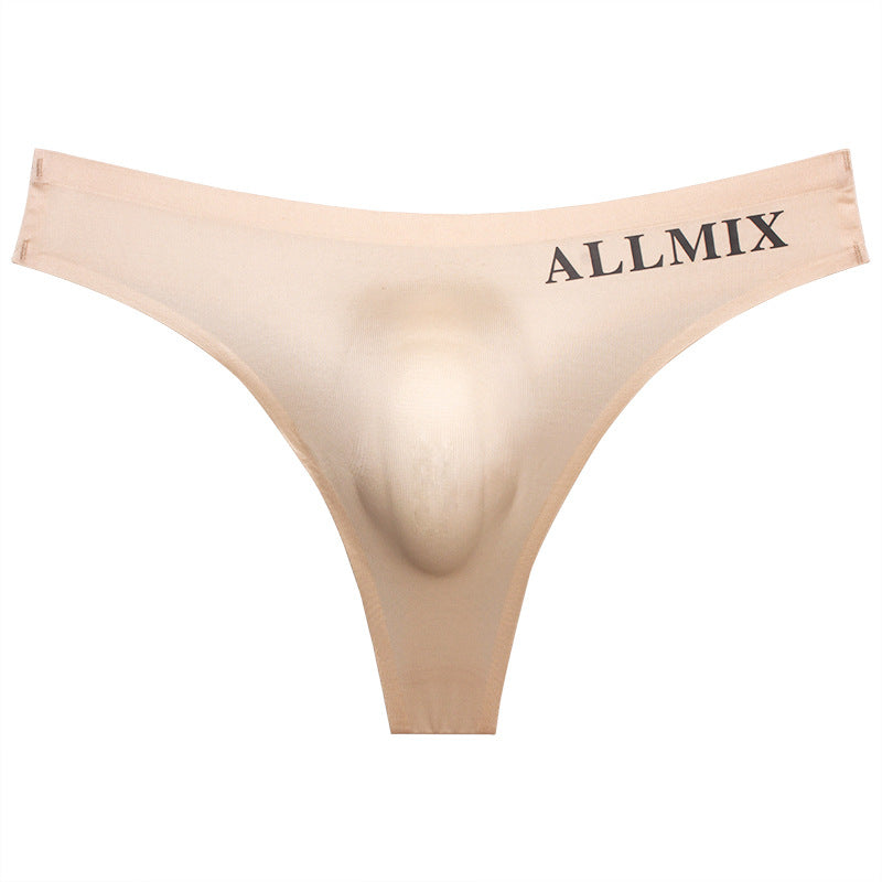 【🔥Hot Sale】Sexy Low Waist Transparent Ice Silk Seamless Thong