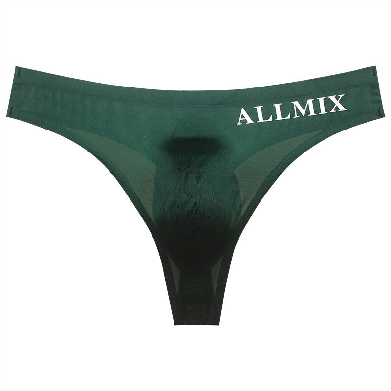 【🔥Hot Sale】Sexy Low Waist Transparent Ice Silk Seamless Thong