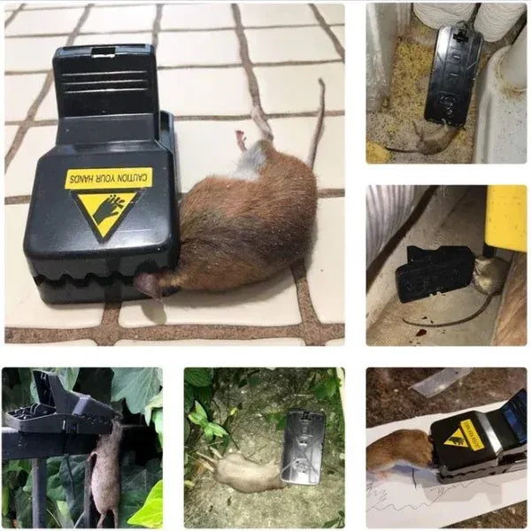【🔥Hot Sale】Highly Sensitive Reusable Mouse Trap