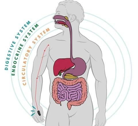 MedPulse™ |Sugar Control LI4 Acupressure Point Clip