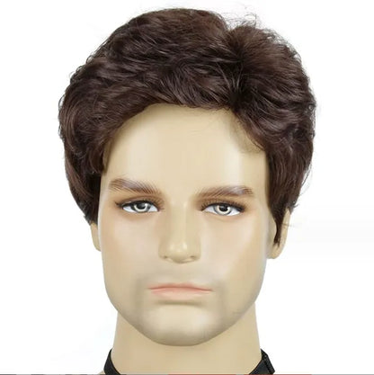 Daily Men's Wig